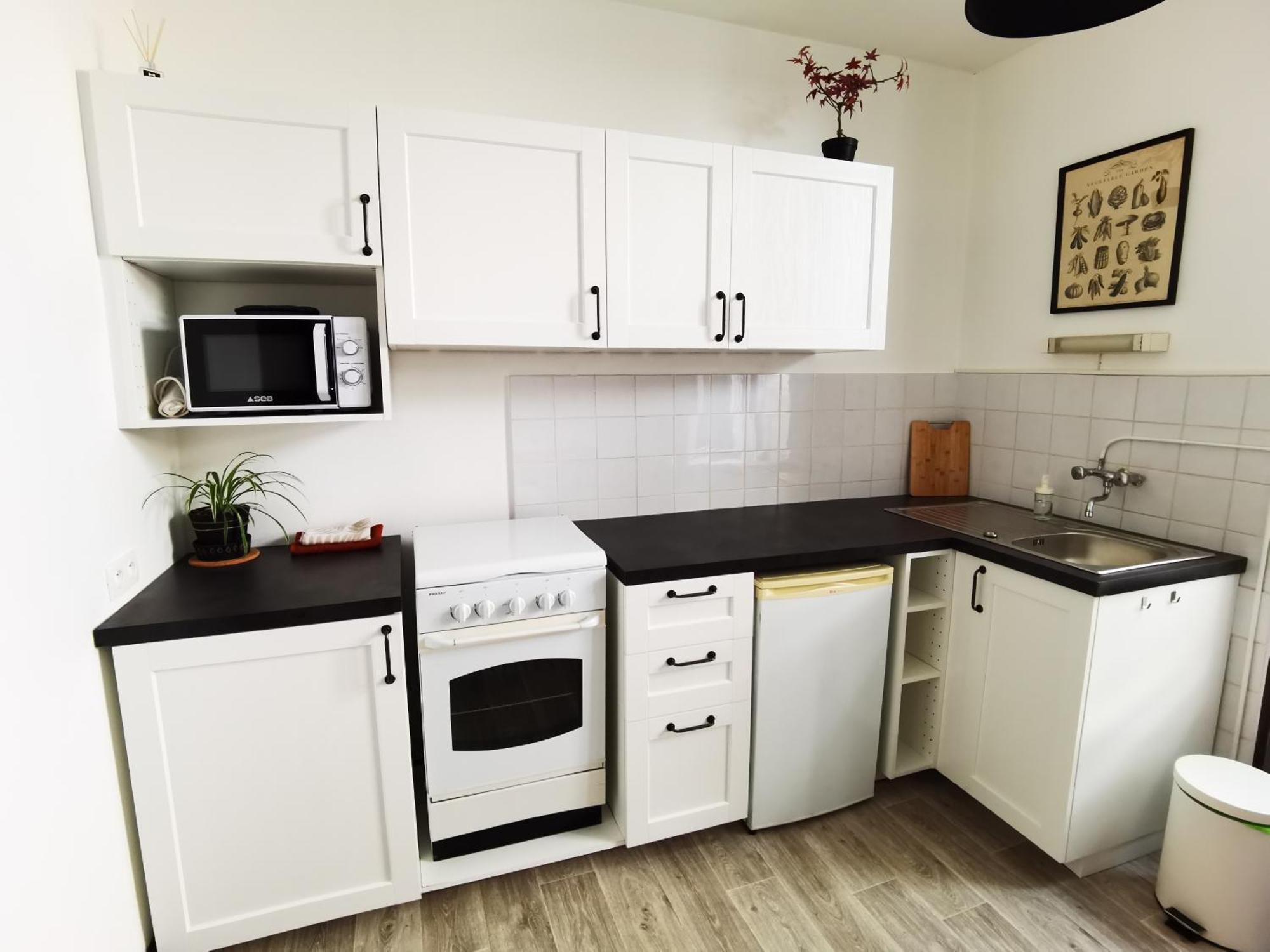 Les Camelias Apartment Le Mont-Dore Luaran gambar